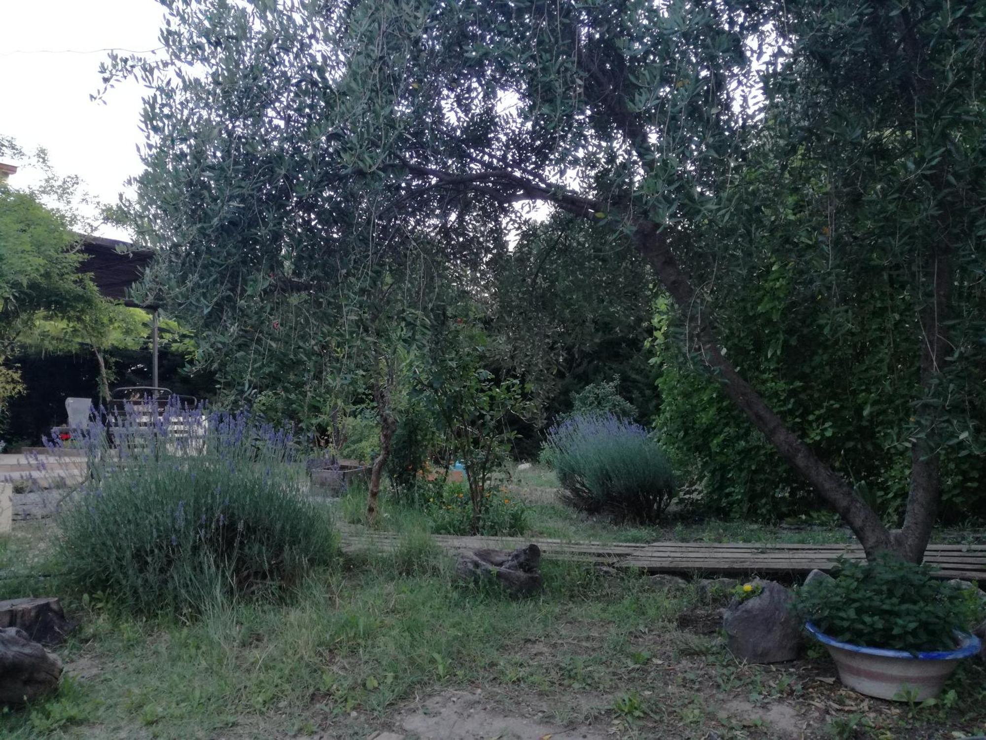 Ferienhaus Casa Con Jardin Y Aparcamiento En Viznar, Junto A Granada Víznar