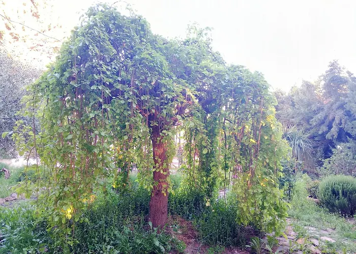 Casa Con Jardin Y Aparcamiento En Viznar, Junto A Granada